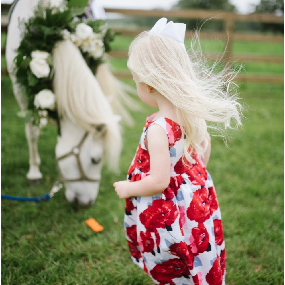 Janie & Jack Dress 2T